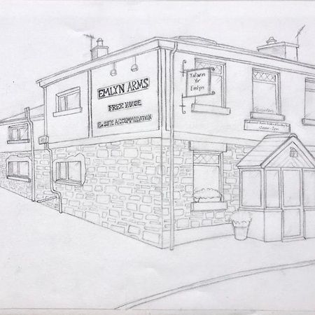 Emlyn Arms Bed & Breakfast Llanarthney Dış mekan fotoğraf