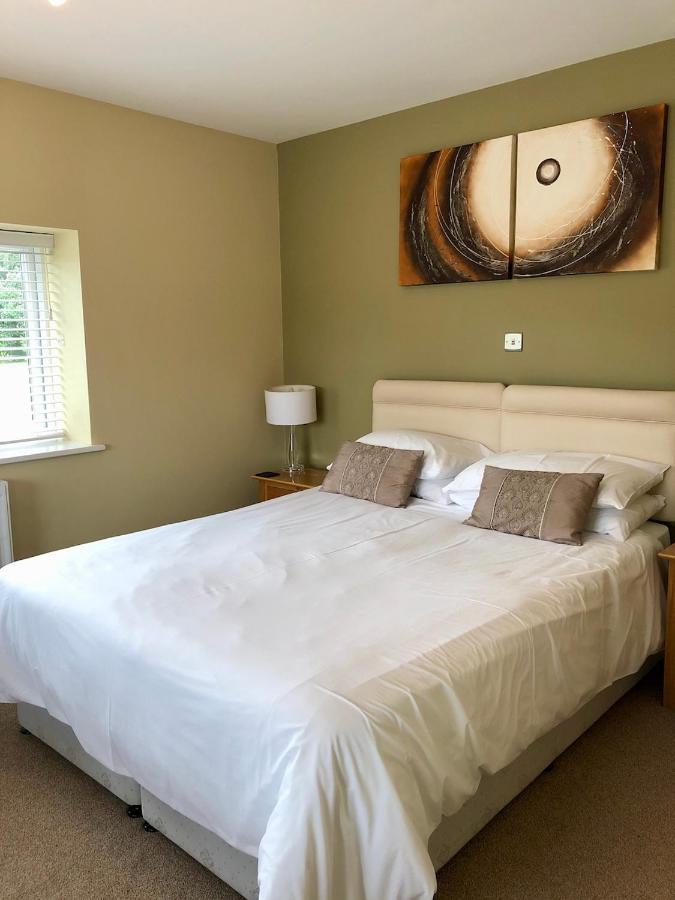 Emlyn Arms Bed & Breakfast Llanarthney Dış mekan fotoğraf
