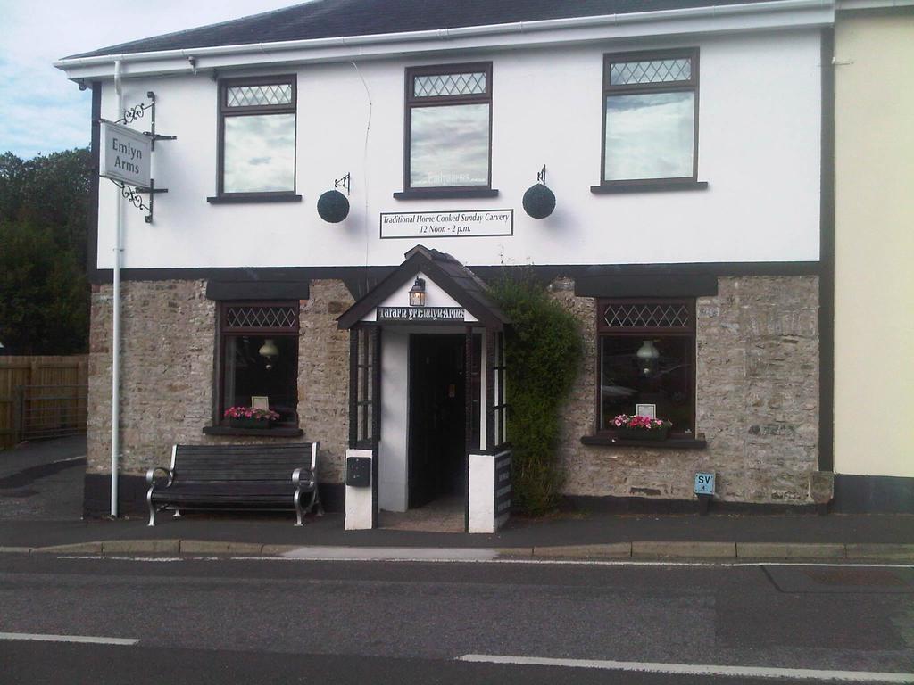 Emlyn Arms Bed & Breakfast Llanarthney Dış mekan fotoğraf