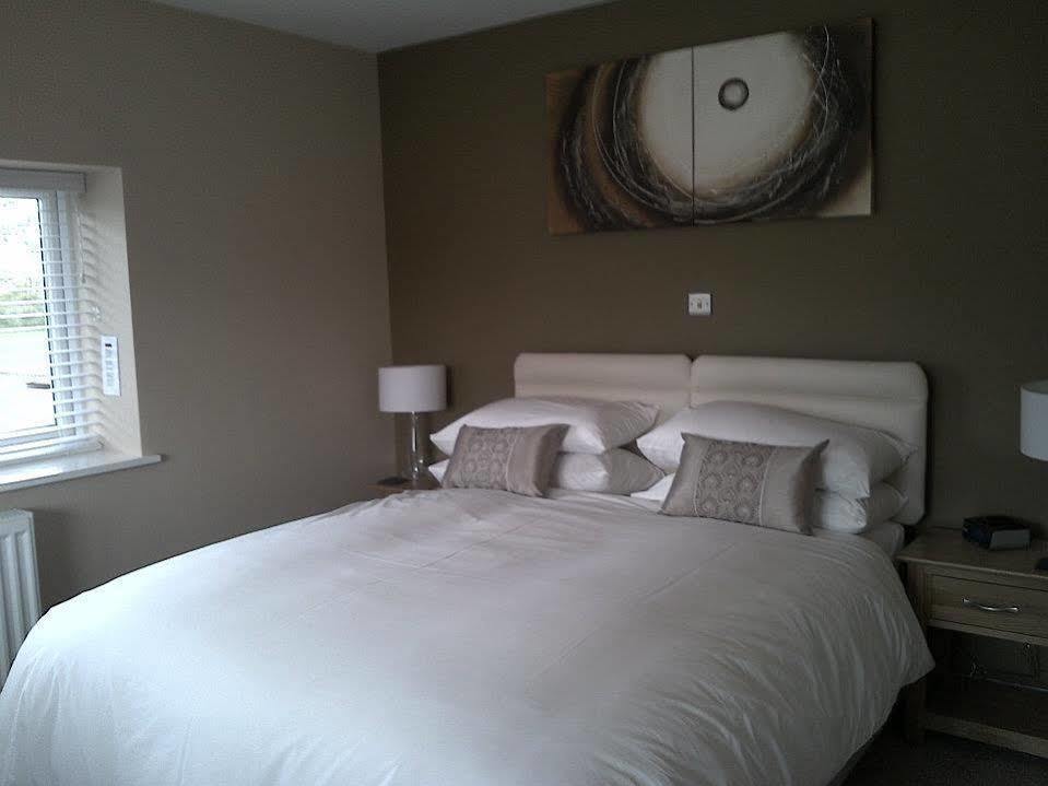 Emlyn Arms Bed & Breakfast Llanarthney Dış mekan fotoğraf